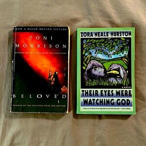 💕3/$20 Lot of Two Classic American Novelist Books